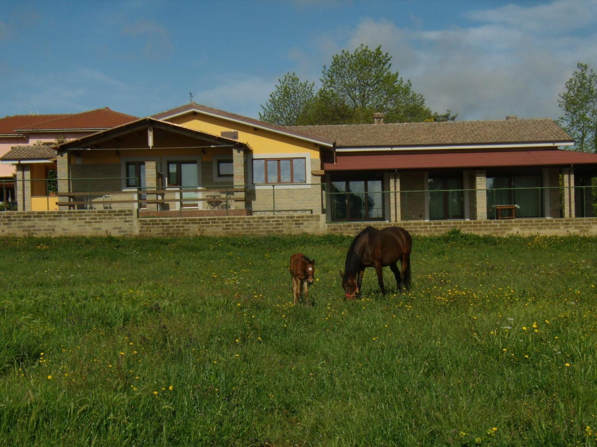 Agriturismo L.B.Stud Bracciano  Εξωτερικό φωτογραφία