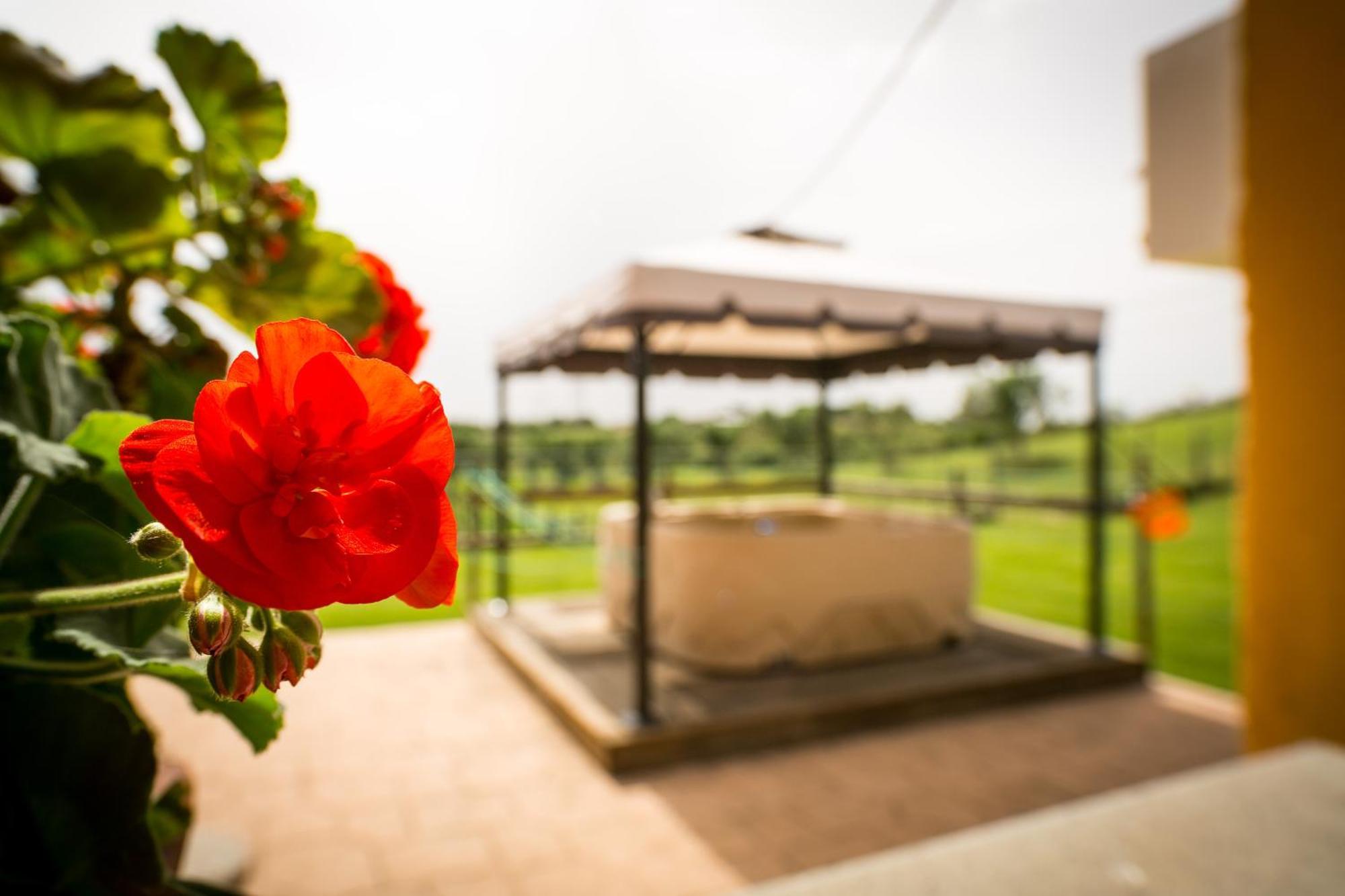 Agriturismo L.B.Stud Bracciano  Δωμάτιο φωτογραφία