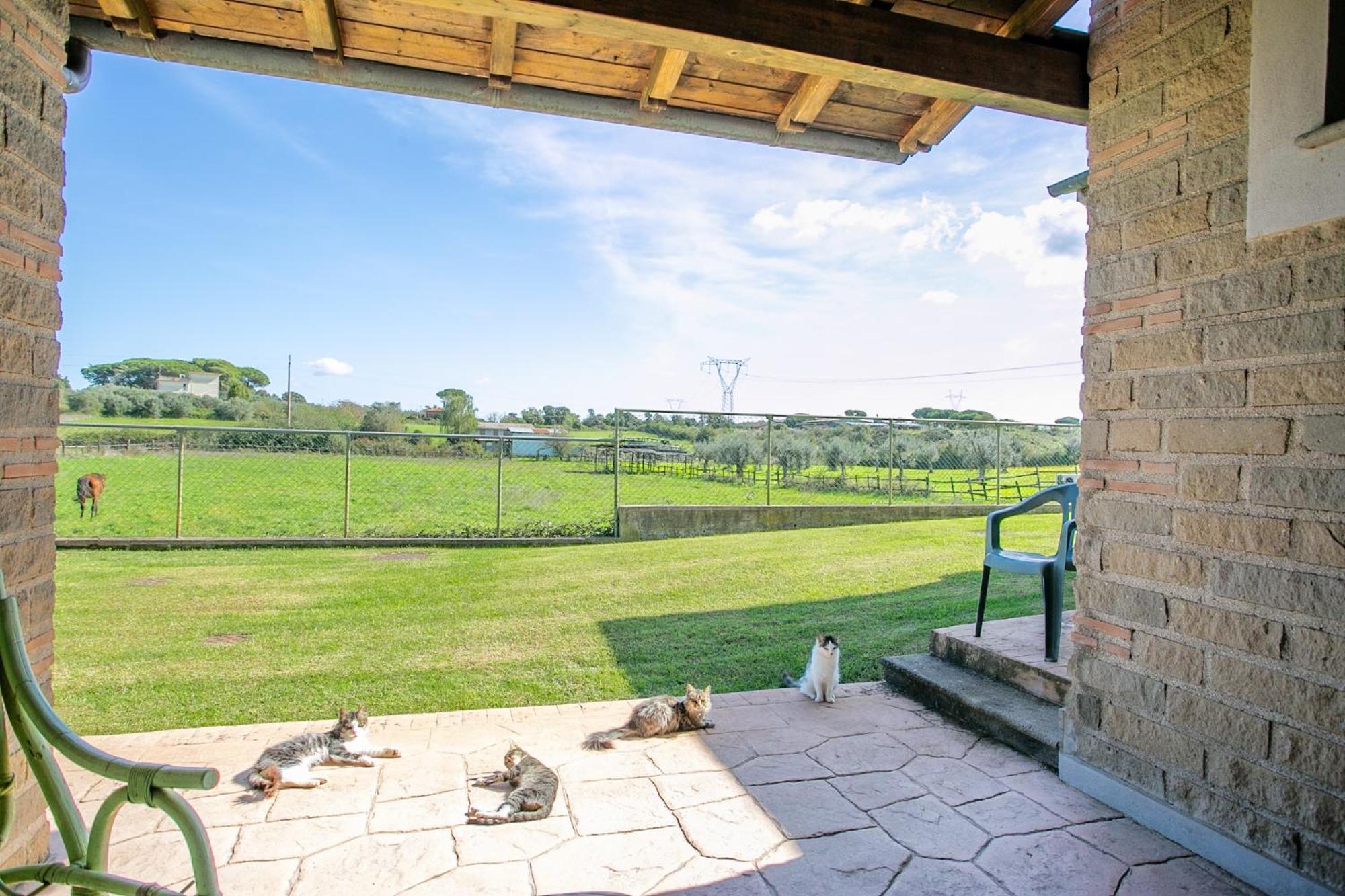 Agriturismo L.B.Stud Bracciano  Εξωτερικό φωτογραφία