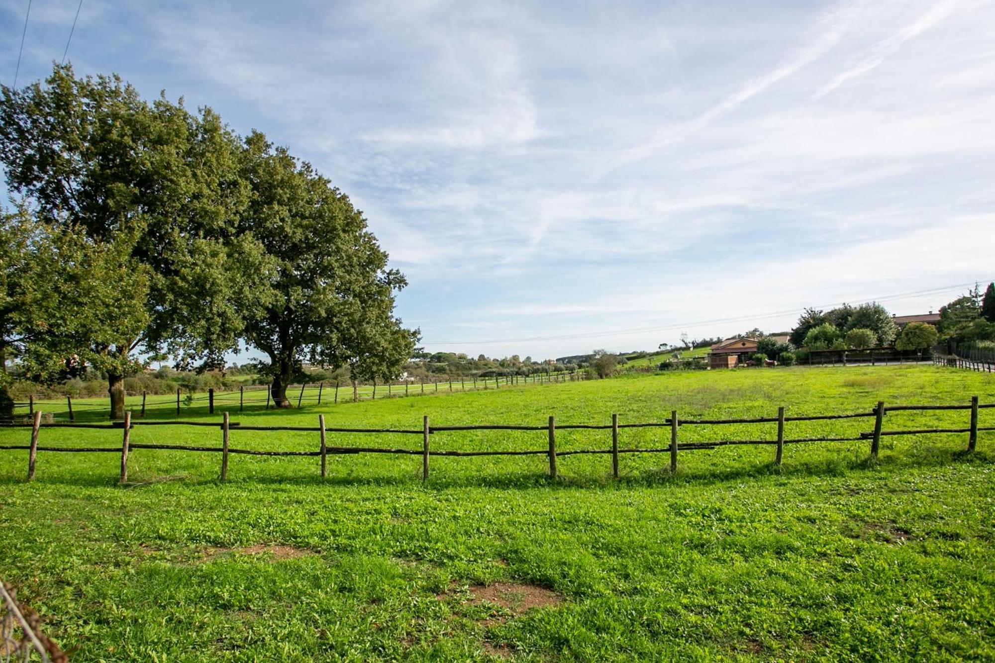 Agriturismo L.B.Stud Bracciano  Εξωτερικό φωτογραφία