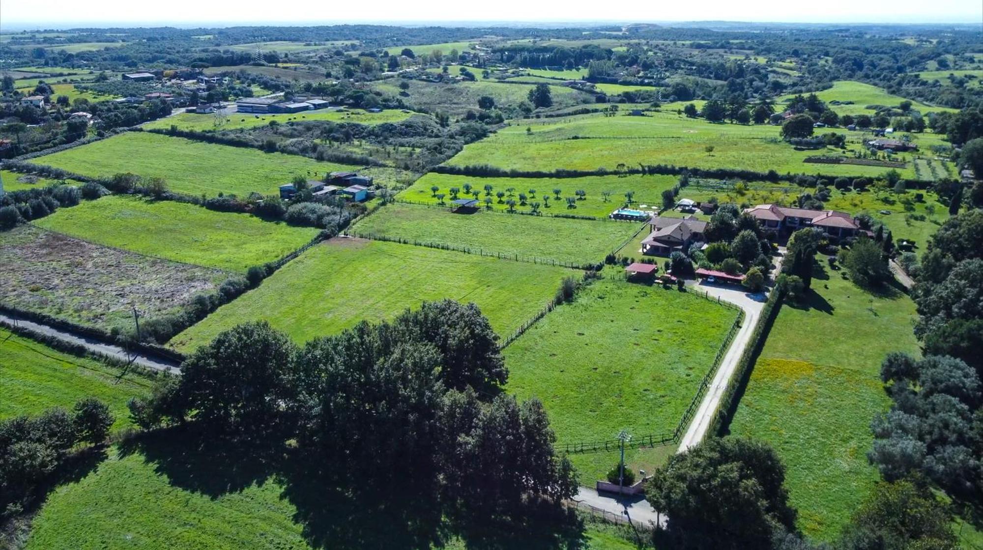 Agriturismo L.B.Stud Bracciano  Εξωτερικό φωτογραφία